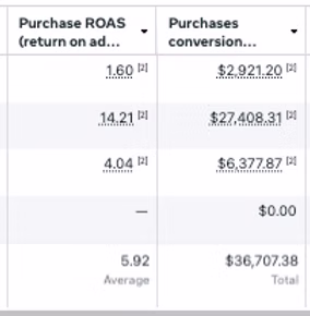 Ad performance dashboard screenshot showing strong results across paid social campaigns.